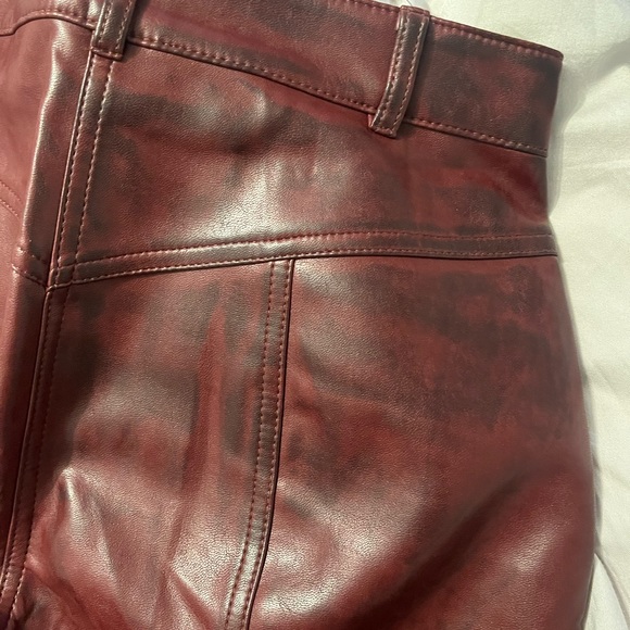 Aritzia Rebel Pants - Picture 5 of 5